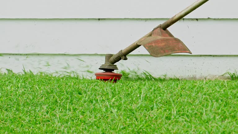 Best Commercial Tree Services  in Williamston, SC